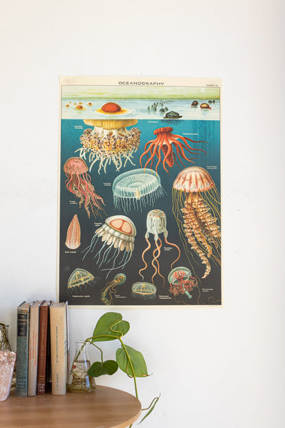 Oceanography Scientific Chart Charts Stemcell Science Shop