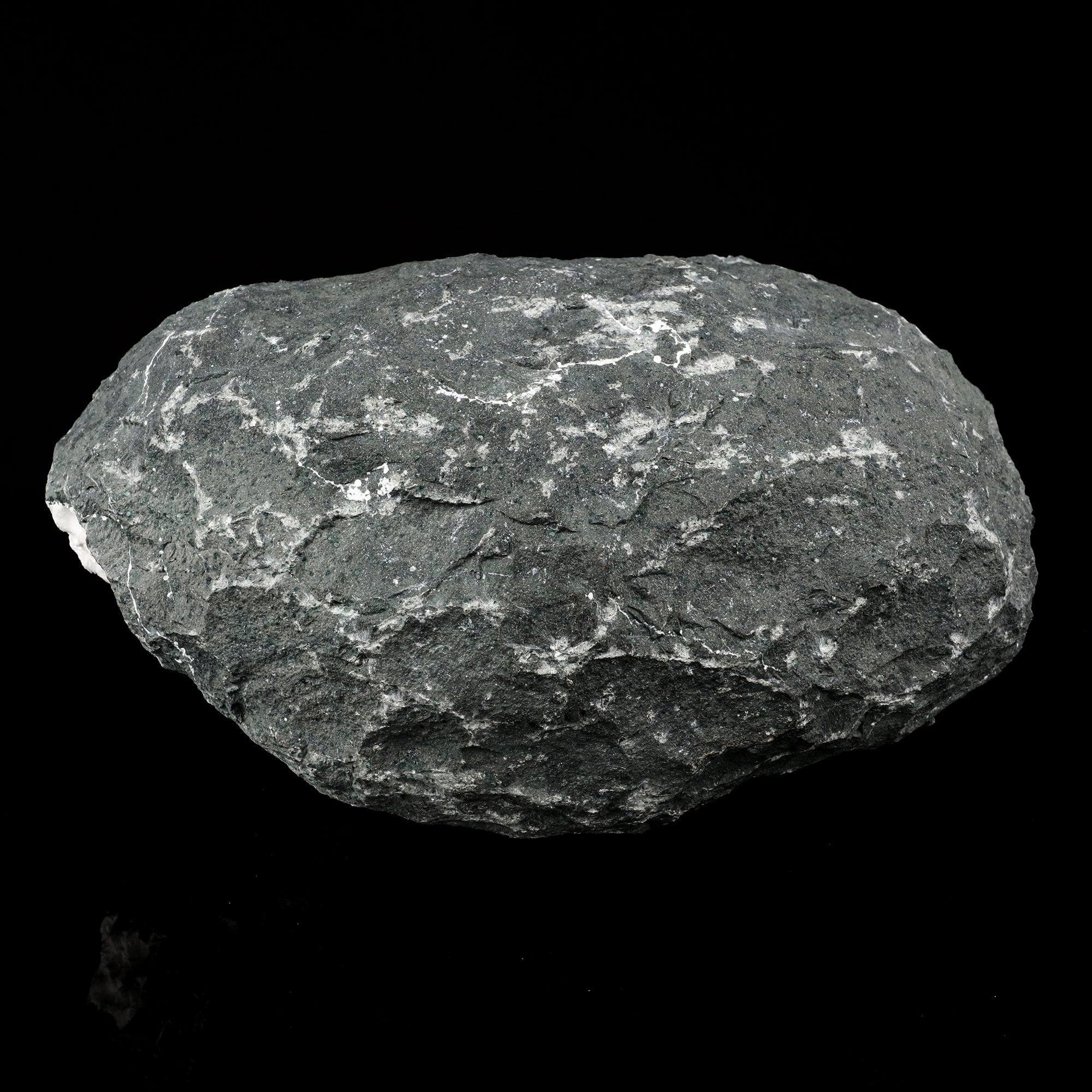 Okenite Big Puffballs Inside Chalcedony Geode Natural Mineral Specimen # B 5698