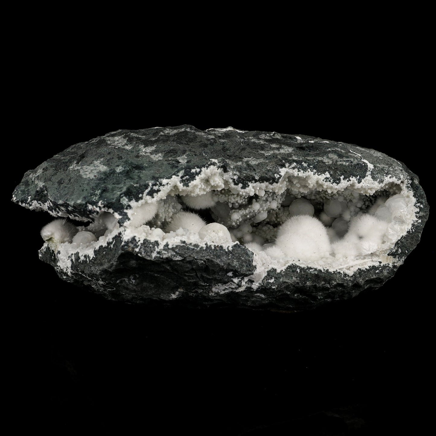 Okenite Big Puffballs Inside Chalcedony Geode Natural Mineral Specimen # B 5713