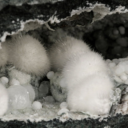 Okenite Big Puffballs with Gyrolite in Geode Natural Mineral Specimen # B 5867
