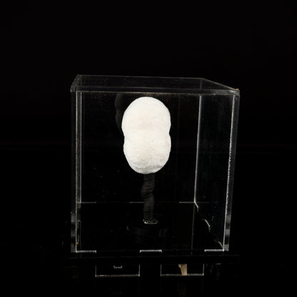 Okenite Big Puffballs Natural Mineral Specimen # B 6711