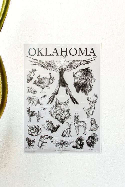 Oklahoma Wildlife Chart, Default Title at Stemcell Science Shop