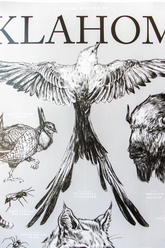 Oklahoma Wildlife Chart, Default Title at Stemcell Science Shop