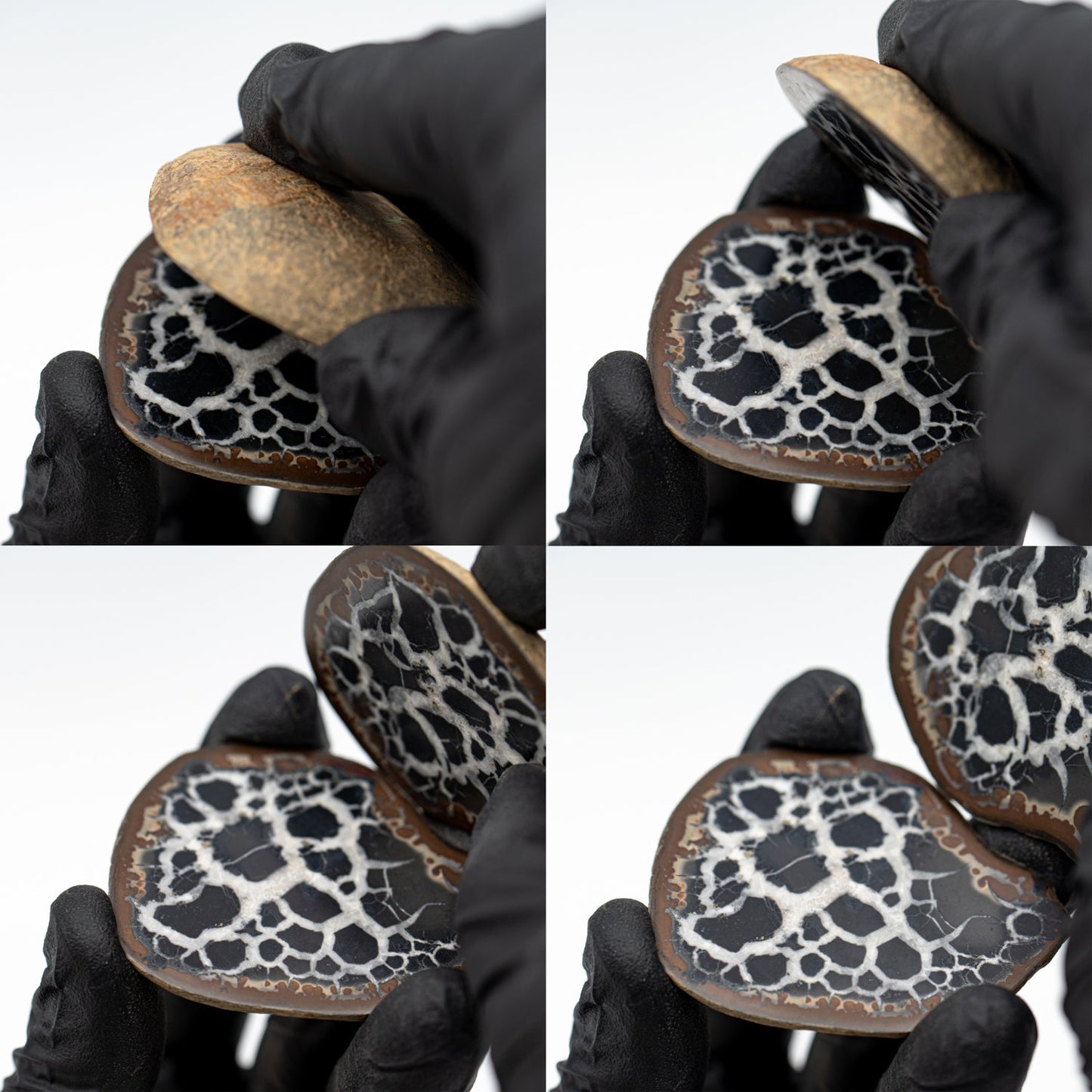 Septarian Nodules