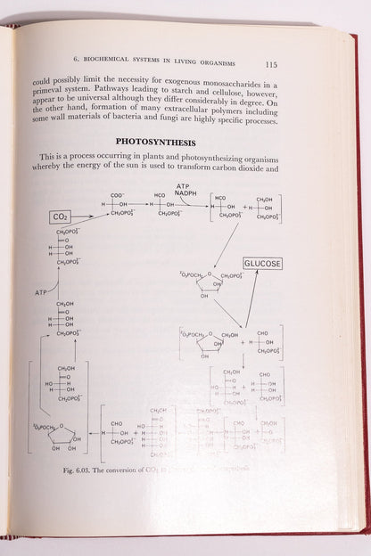 Origin and Development of Living Systems Books Stemcell Science Shop