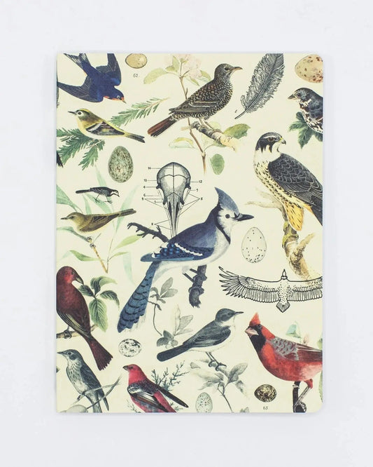 Ornithology Notebook Stemcell Science Shop