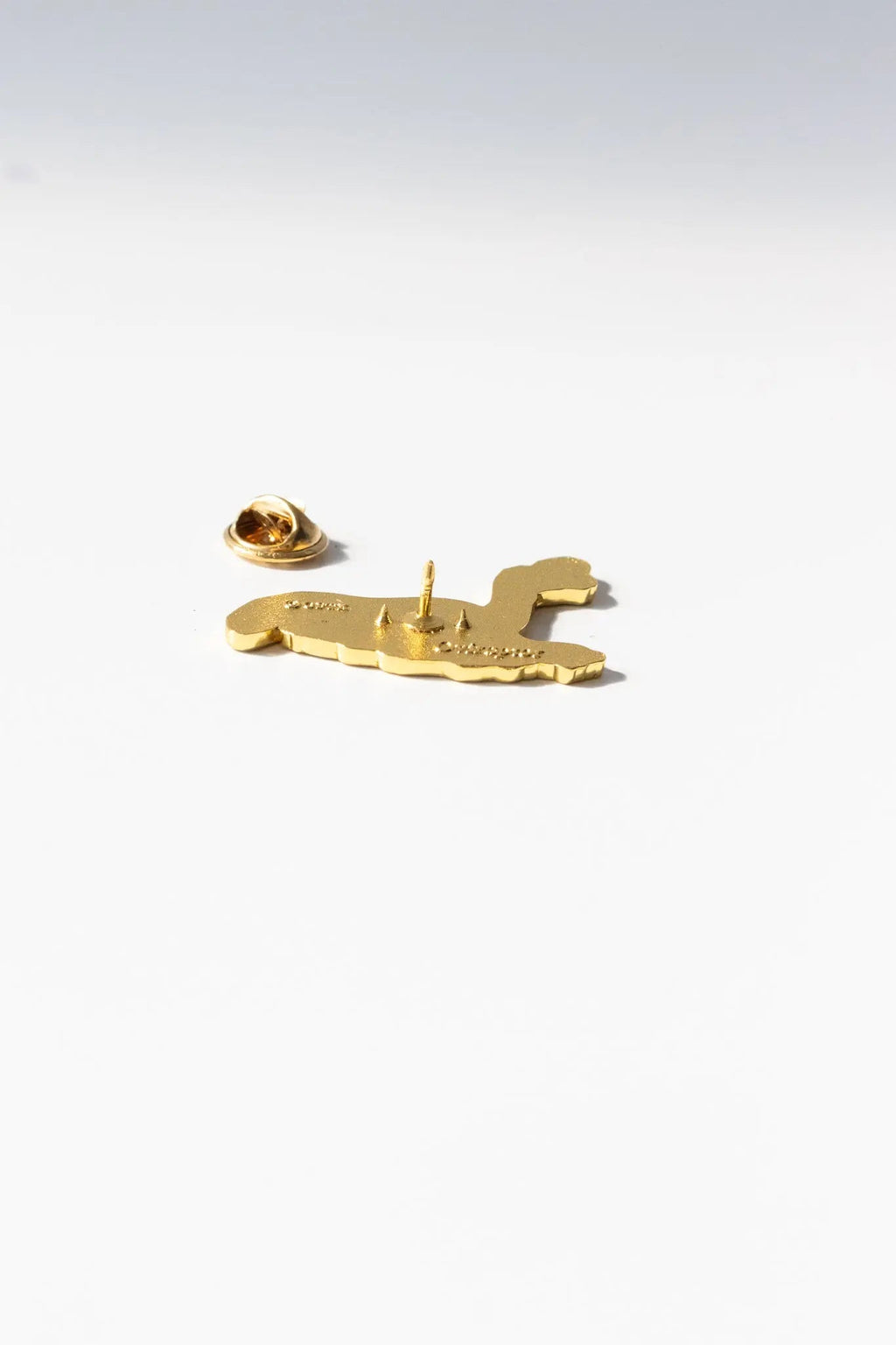 Oviraptor Enamel Pin (Oviraptor philoceratops), Default Title at Stemcell Science Shop