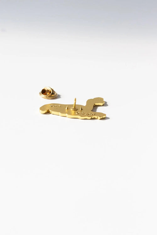 Oviraptor Enamel Pin (Oviraptor philoceratops), Default Title at Stemcell Science Shop