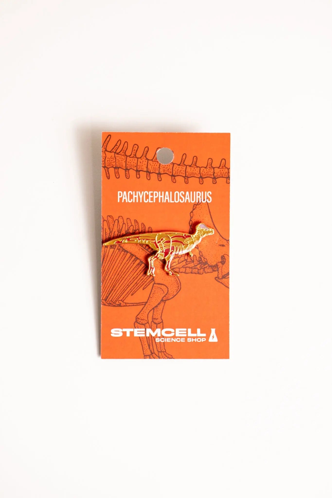 Pachycephalosaurus Enamel Pin (Pachycephalosaurus wyomingensis), Default Title at Stemcell Science Shop