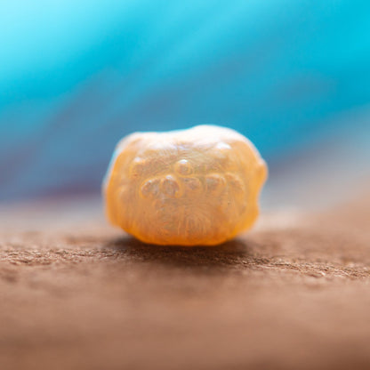 Pearl of Wisdom Pocket Treasure