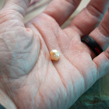 Pearl of Wisdom Pocket Treasure