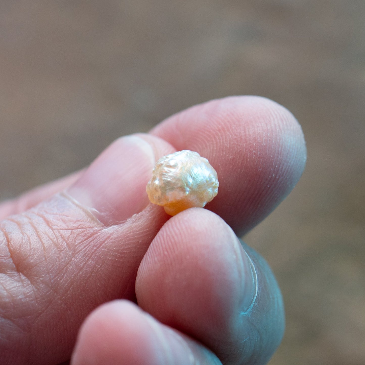 Pearl of Wisdom Pocket Treasure