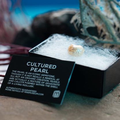 Pearl of Wisdom Pocket Treasure