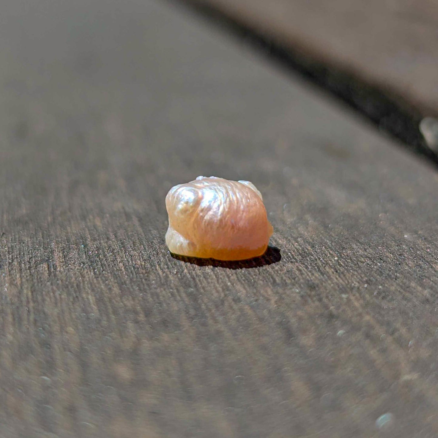 Pearl of Wisdom Pocket Treasure