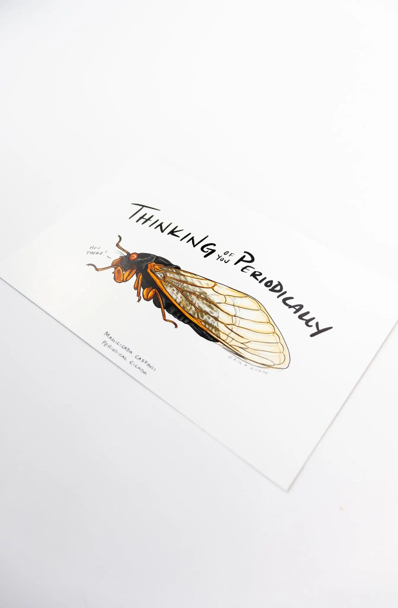 Periodical Cicada Postcard Stationery Stemcell Science Shop