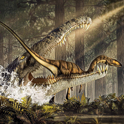 Phytosaur Teeth - Classic Riker Box Specimens