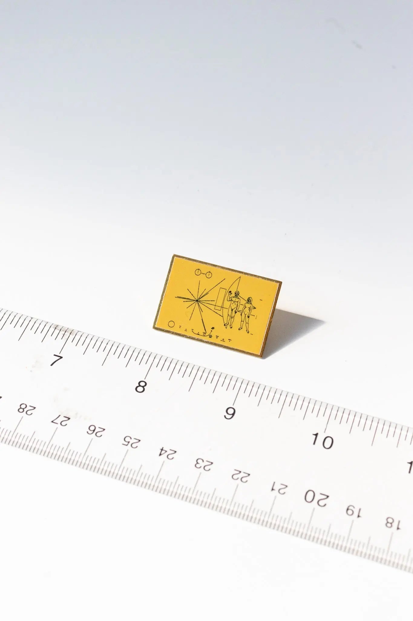 Pioneer Plaque Pin Pin Stemcell Science Shop