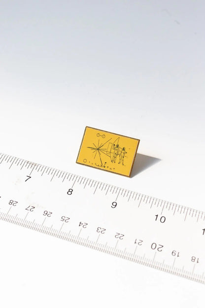 Pioneer Plaque Pin Pin Stemcell Science Shop