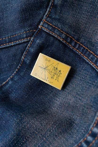 Pioneer Plaque Pin Pin Stemcell Science Shop