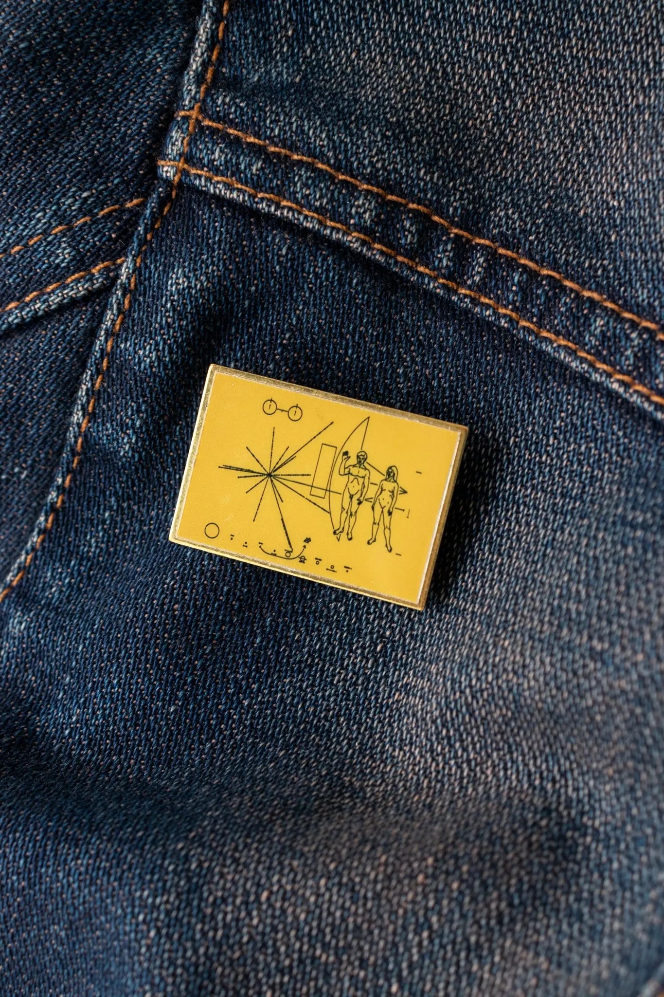 Pioneer Plaque Pin Pin Stemcell Science Shop