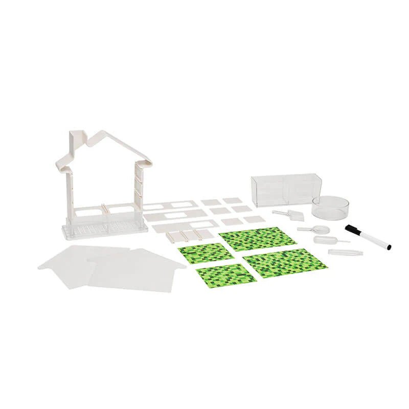 Plant Maze Kit Kids Stemcell Science Shop