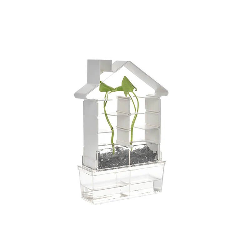 Plant Maze Kit Kids Stemcell Science Shop