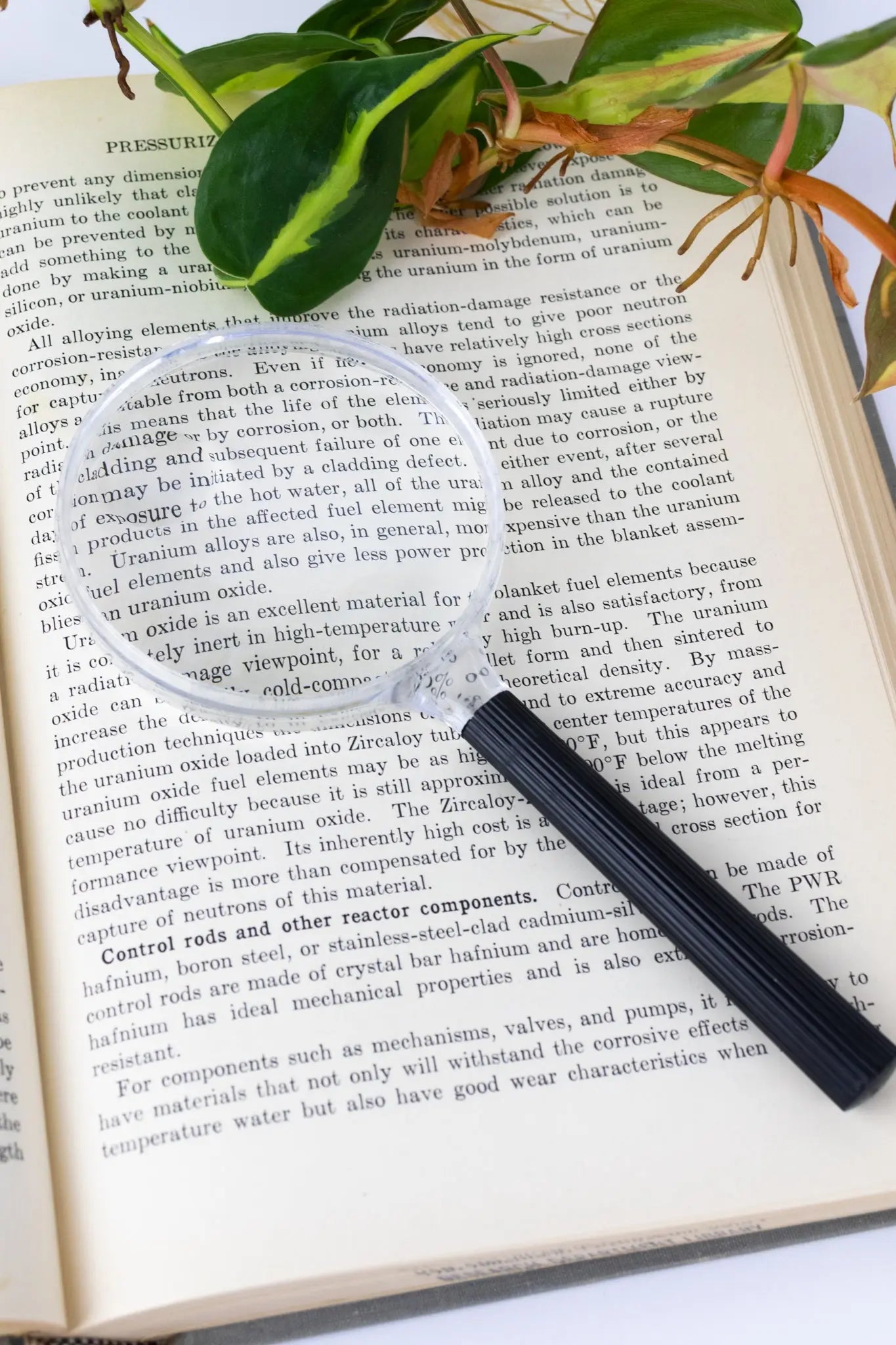 Plastic Magnifying Lens - Laboratory from Stemcell Science Shop