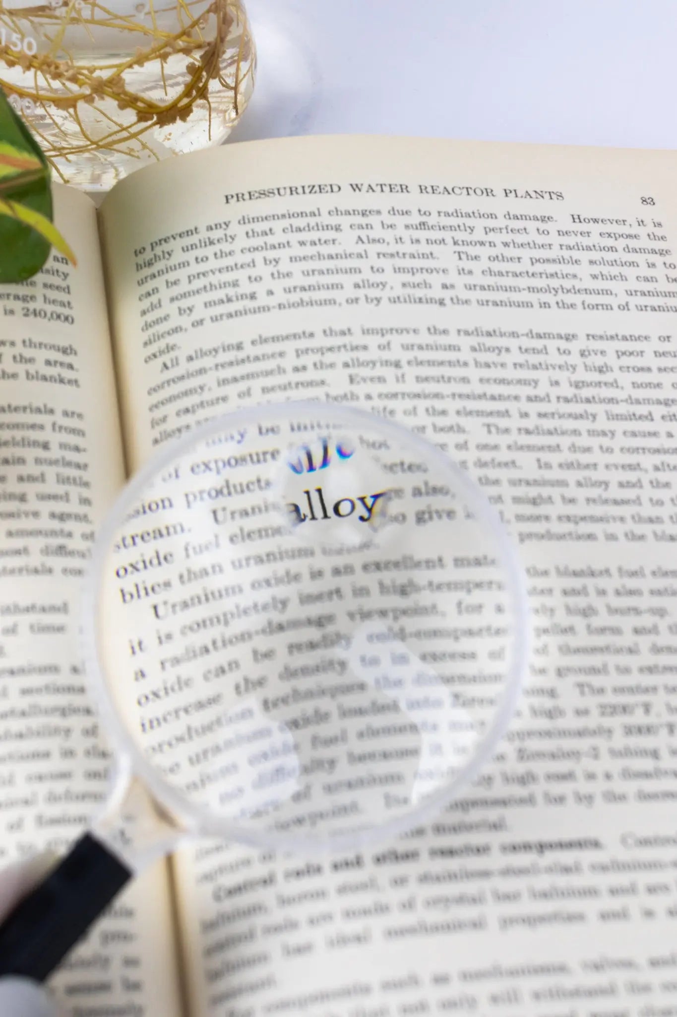 Plastic Magnifying Lens - Laboratory from Stemcell Science Shop