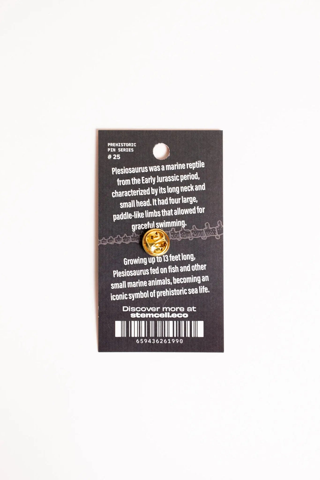 Plesiosaurus Enamel Pin (Plesiosaurus dolichodeirus), Default Title at Stemcell Science Shop