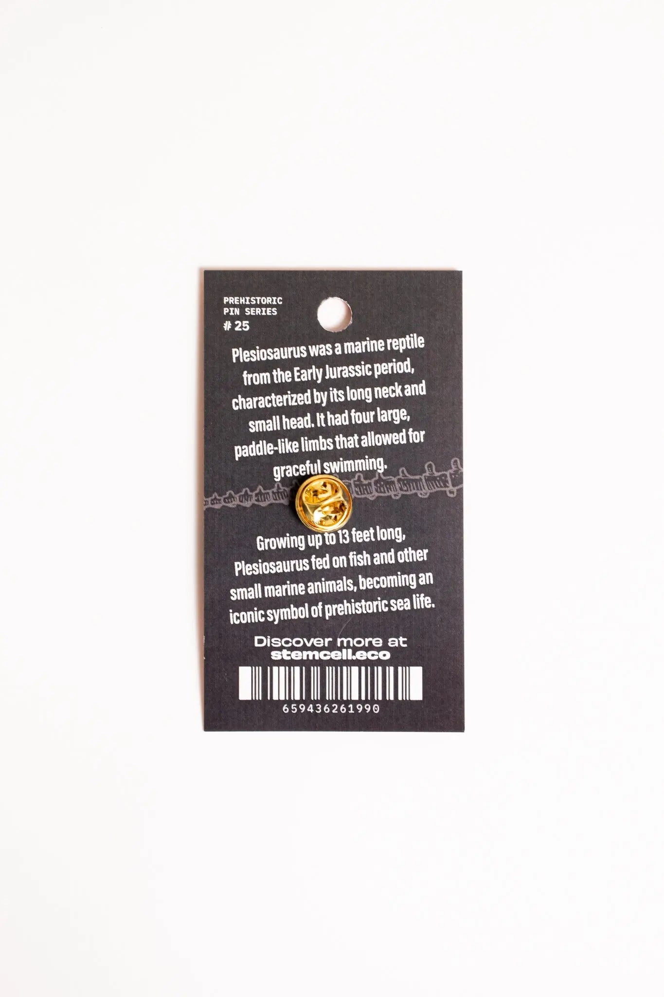 Plesiosaurus Enamel Pin (Plesiosaurus dolichodeirus), Default Title at Stemcell Science Shop