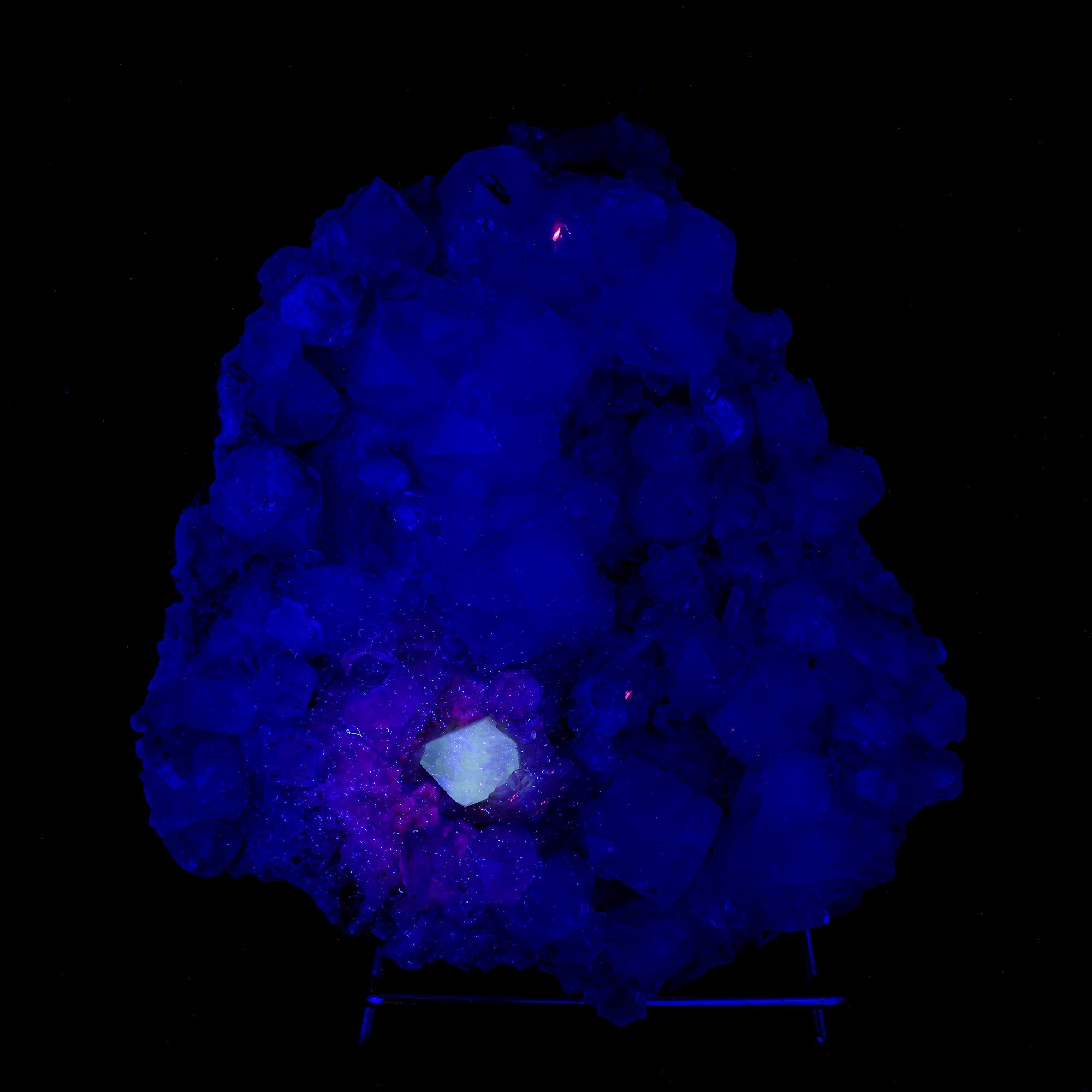 Powellite Fluorescent on Apophyllite Natural Mineral Specimen ...