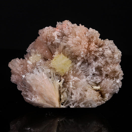 Powellite with Pink Scolecite Rare Find Natural Mineral Specimen # B 6914