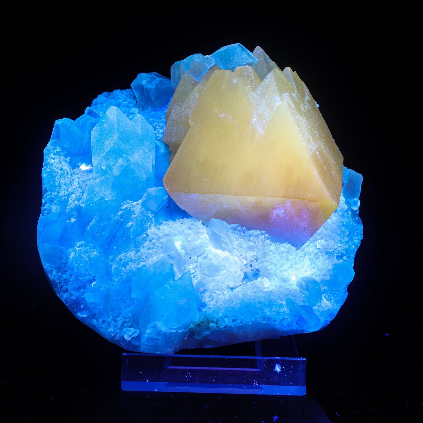 Powellite with Stilbite Rare Find Natural Mineral Specimen, Default Title at Stemcell Science Shop