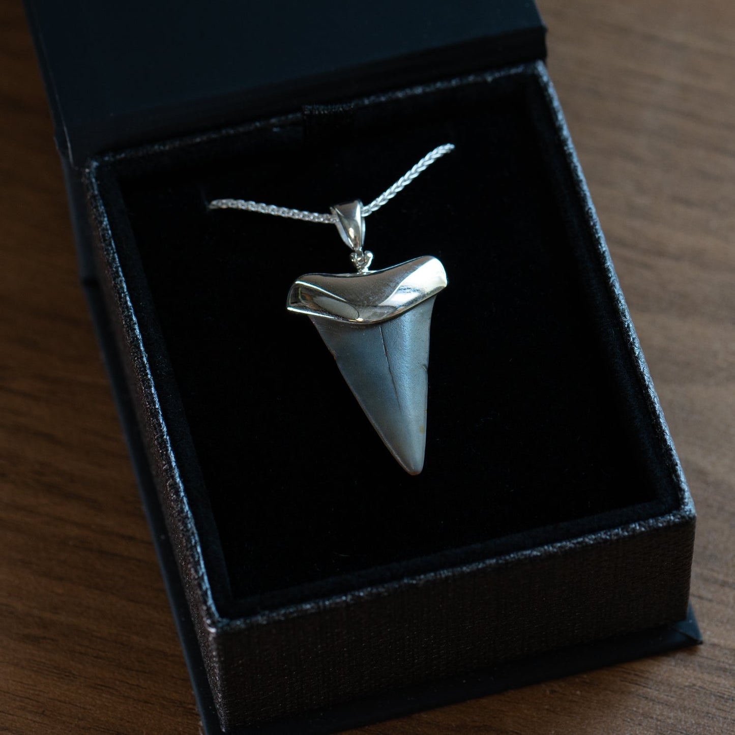 Fossil Shark Tooth Pendant
