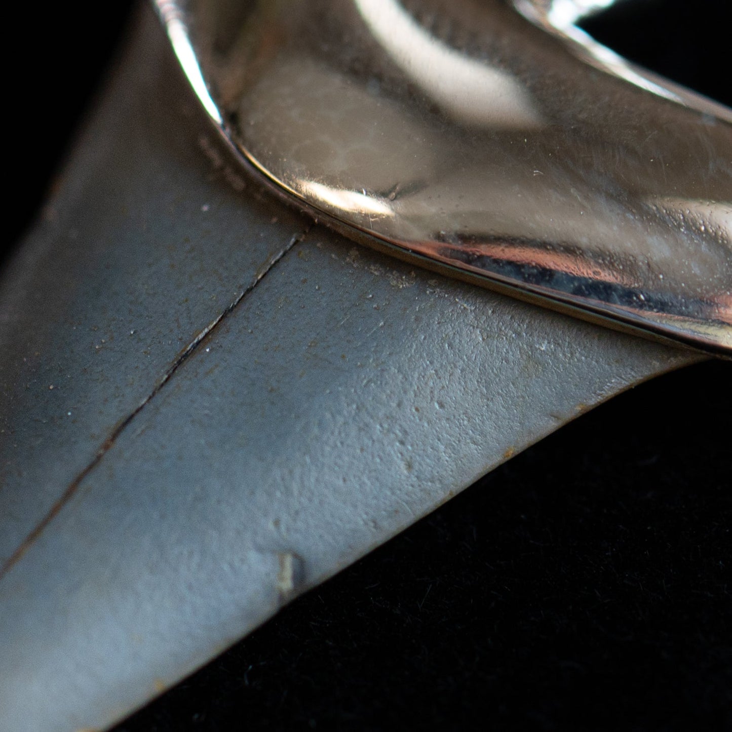 Fossil Shark Tooth Pendant