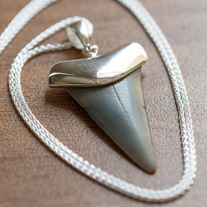 Fossil Shark Tooth Pendant