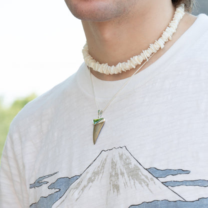 Fossil Shark Tooth Pendant