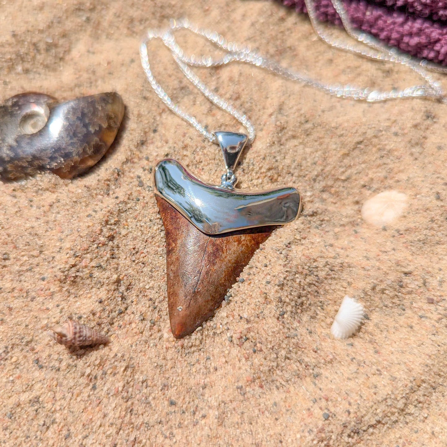 Fossil Shark Tooth Pendant