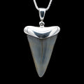 Fossil Shark Tooth Pendant
