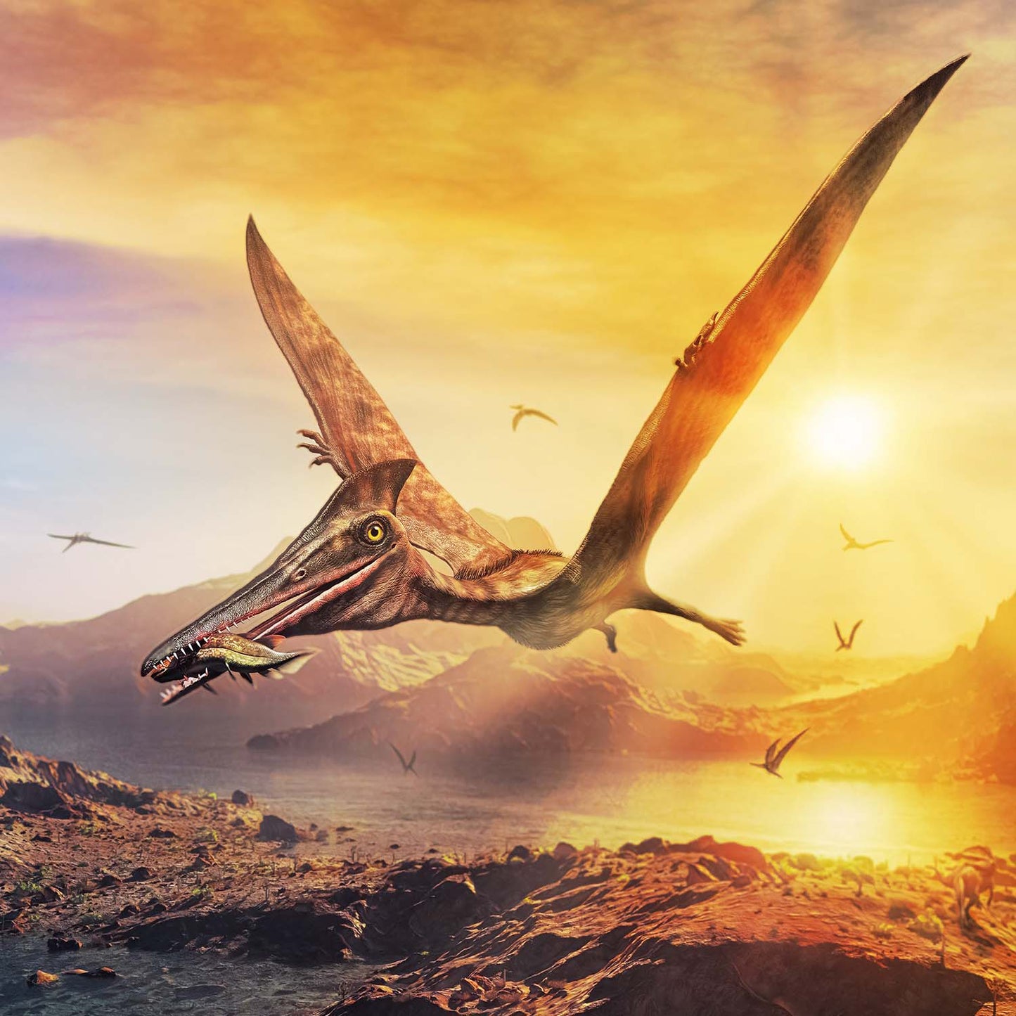 Pterosaur Tooth - Classic Riker Box Specimens