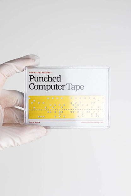 Punched Computer Tape Section Historic Artifacts Stemcell Science Shop