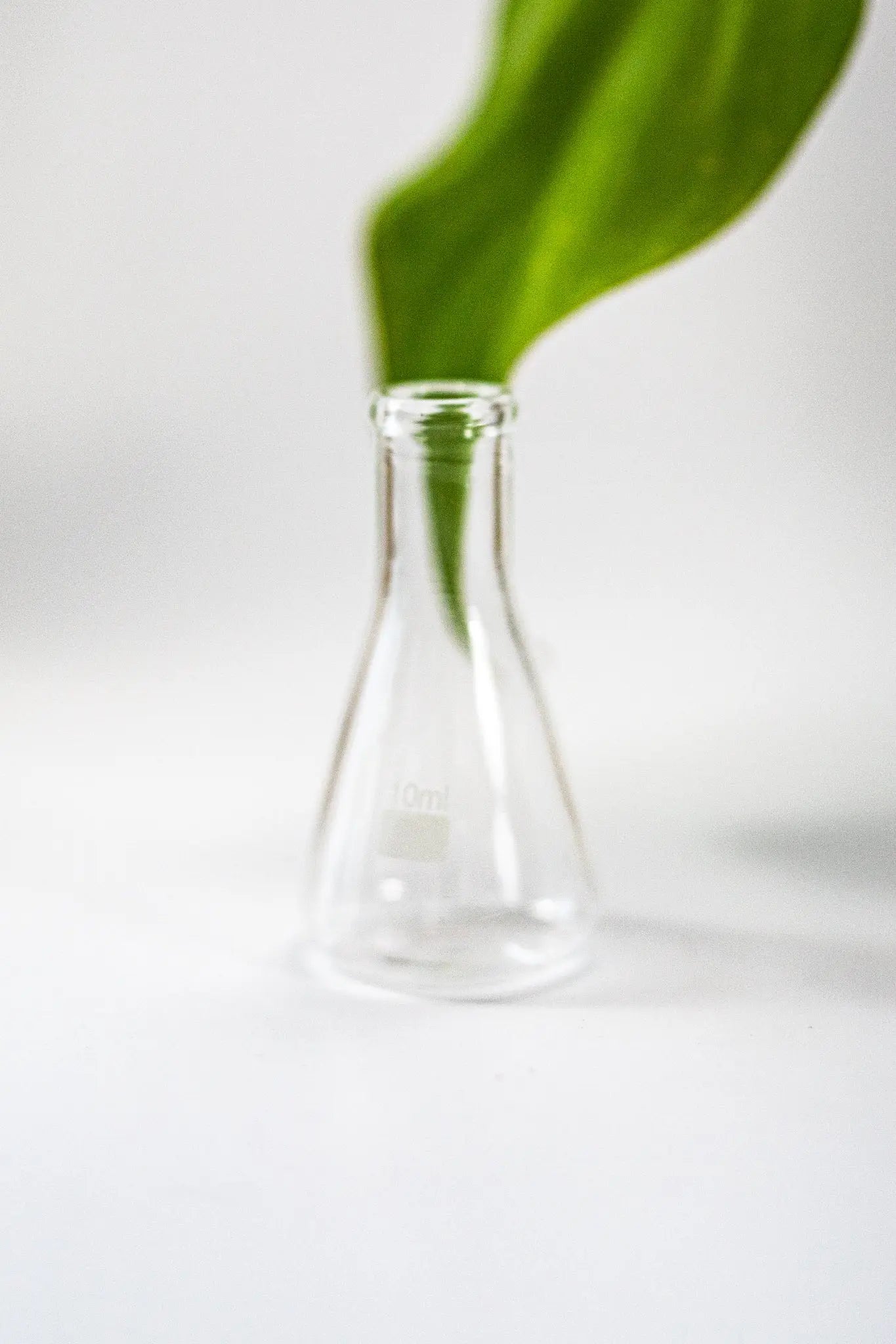 PYREX Erlenmeyer Flask - Laboratory from Stemcell Science Shop