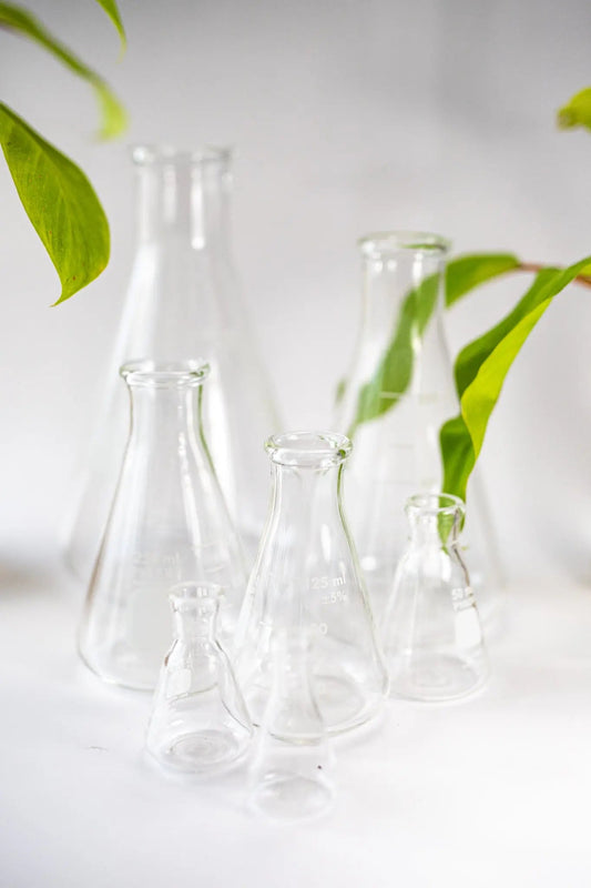 PYREX Erlenmeyer Flask Laboratory Stemcell Science Shop