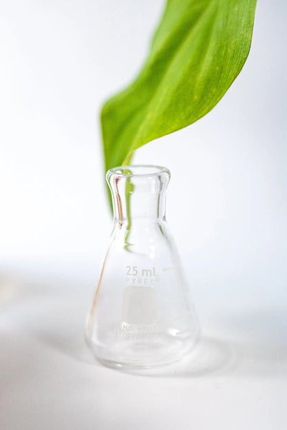 PYREX Erlenmeyer Flask - Laboratory from Stemcell Science Shop