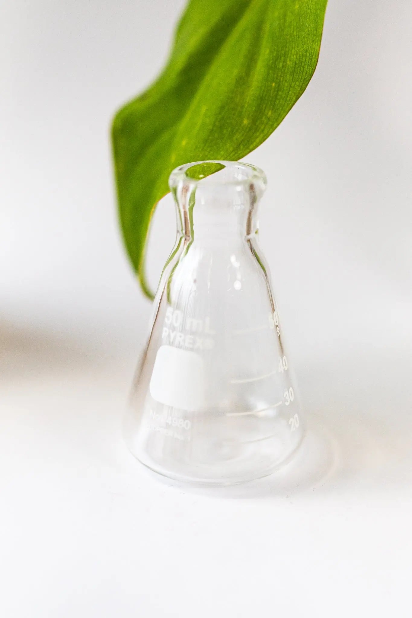 PYREX Erlenmeyer Flask - Laboratory from Stemcell Science Shop