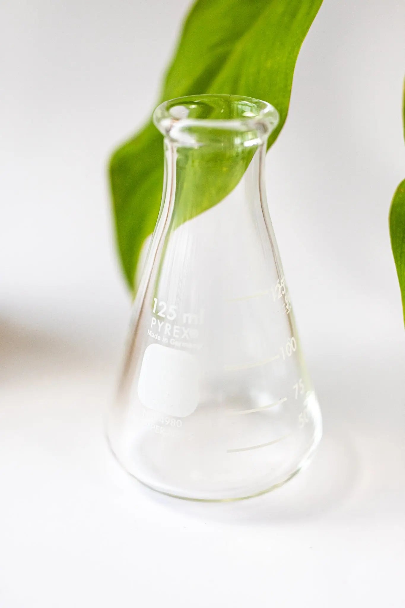 PYREX Erlenmeyer Flask - Laboratory from Stemcell Science Shop