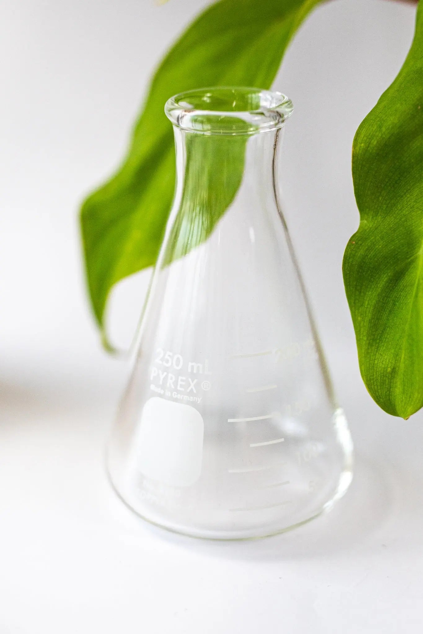 PYREX Erlenmeyer Flask - Laboratory from Stemcell Science Shop