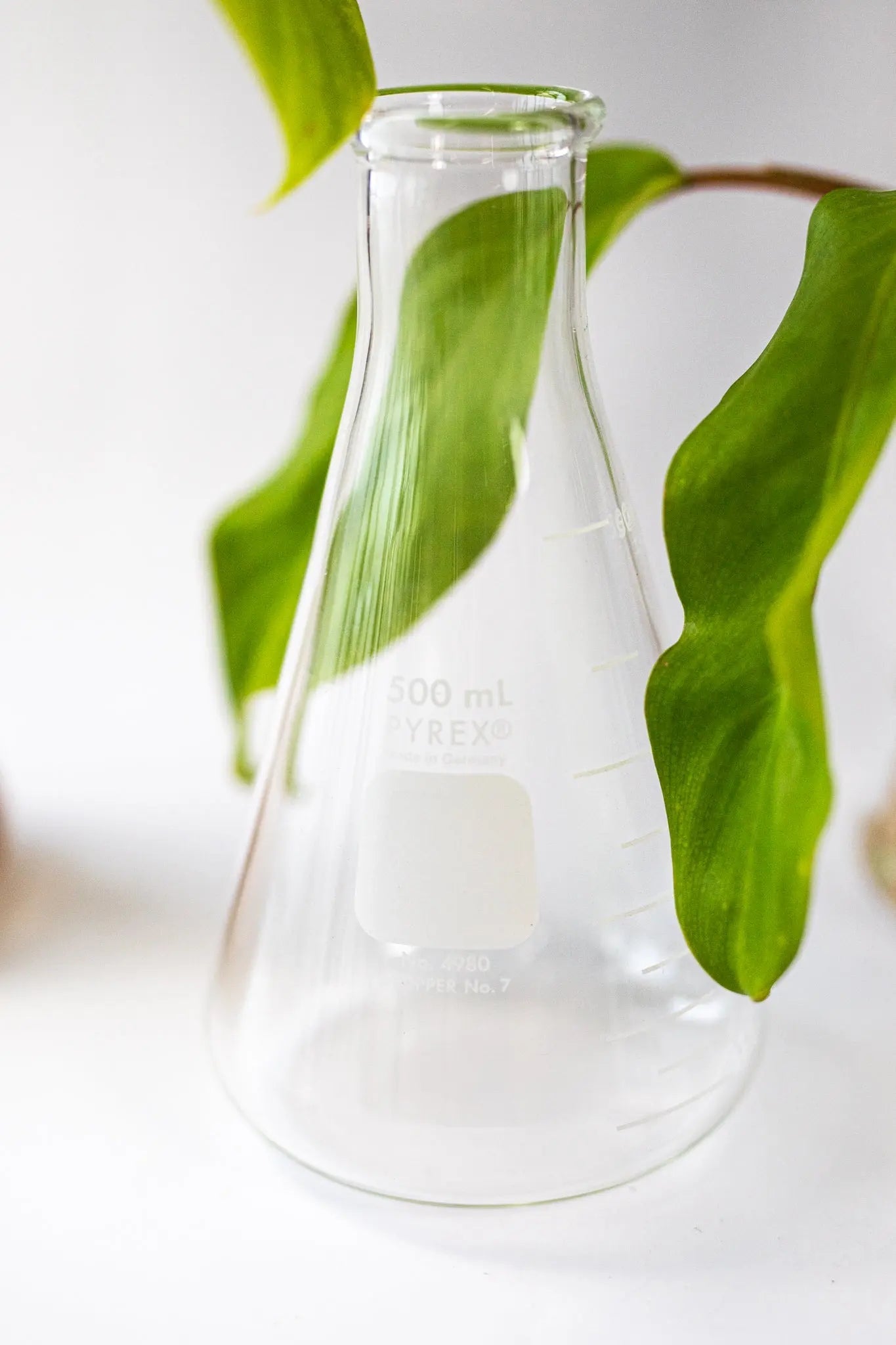 PYREX Erlenmeyer Flask - Laboratory from Stemcell Science Shop