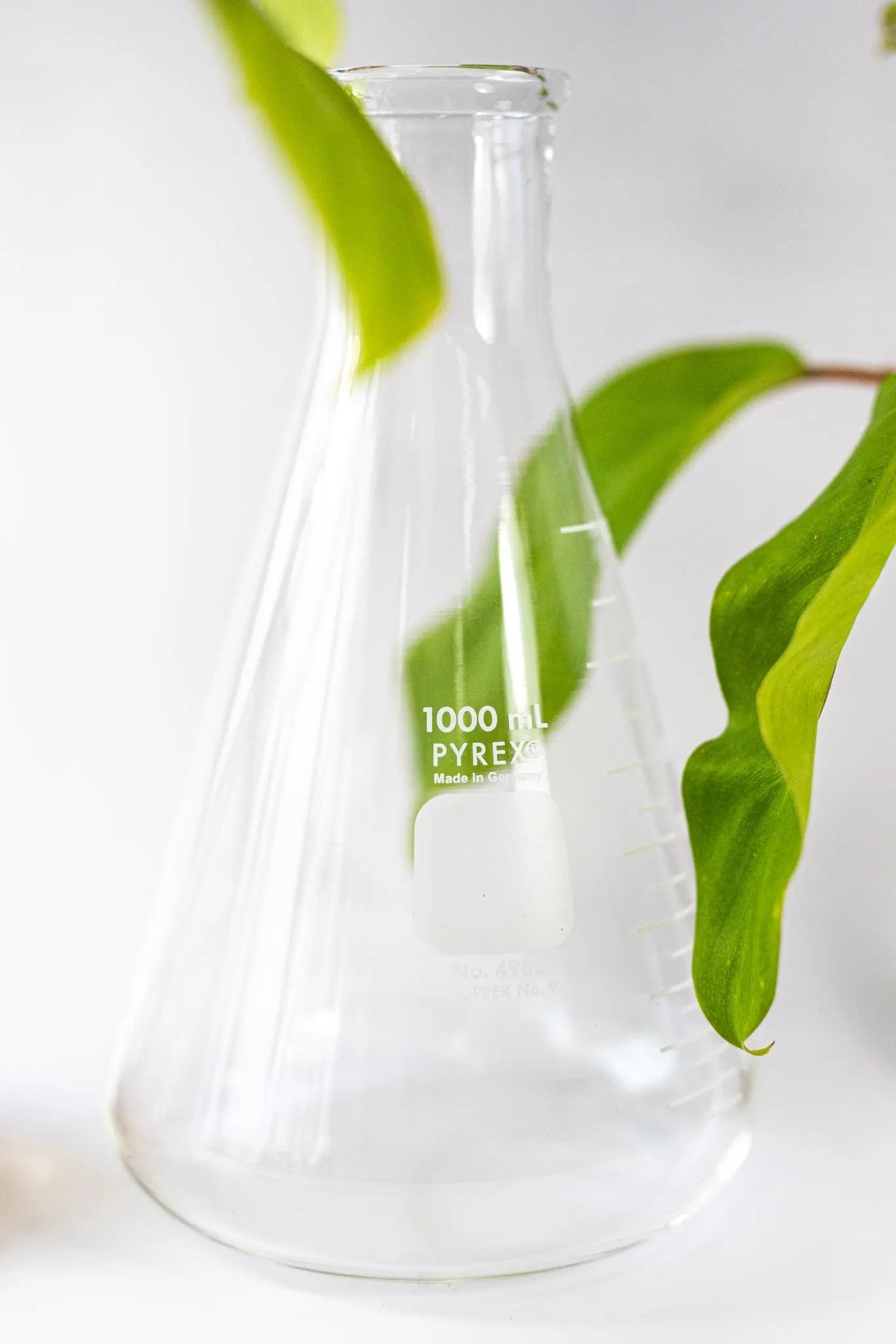 PYREX Erlenmeyer Flask - Laboratory from Stemcell Science Shop