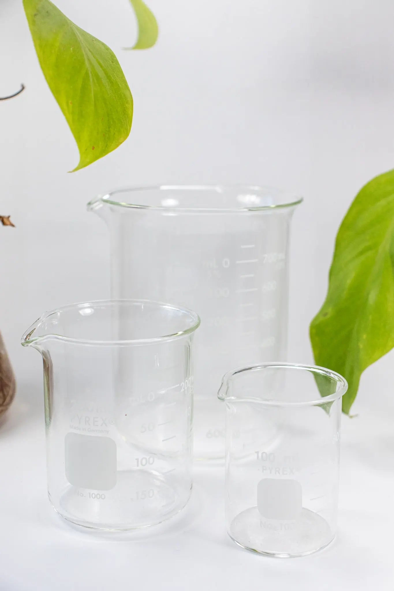 PYREX Glass Beaker - Laboratory from Stemcell Science Shop